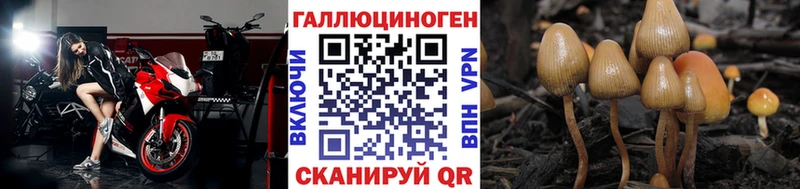 Купить закладки  Черноголовка  Галлюциногенные грибы мухоморы 